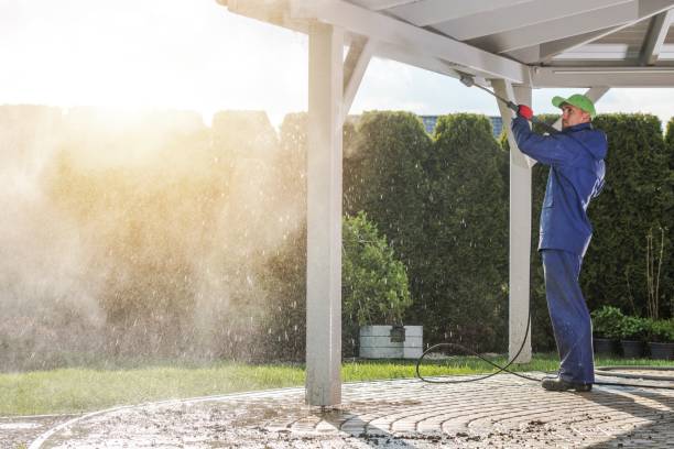 Best Dumpster Area Cleaning  in Oriole Beach, FL